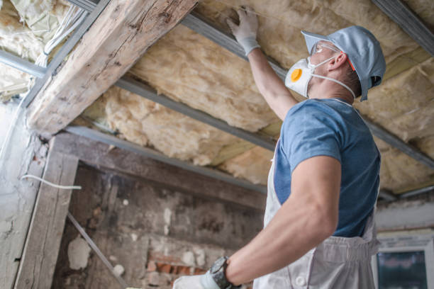 Types of Insulation We Offer in Lemont, PA