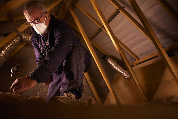 Best Eco-Friendly Insulation in Lemont, PA
